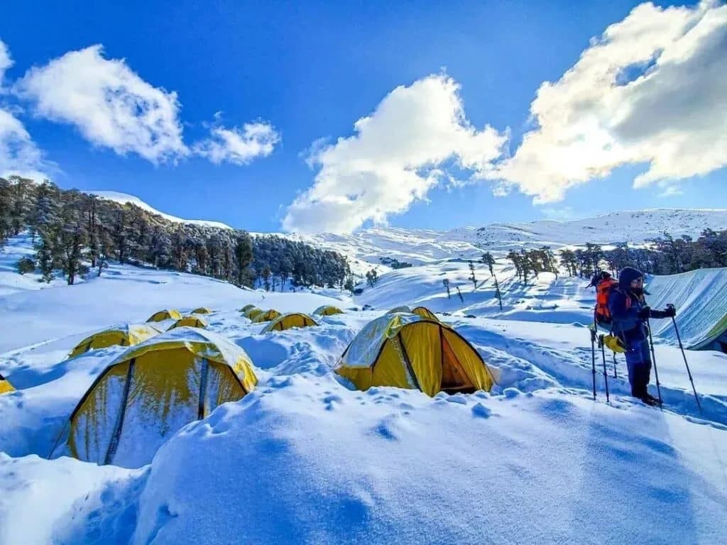 Dodital Trek 5