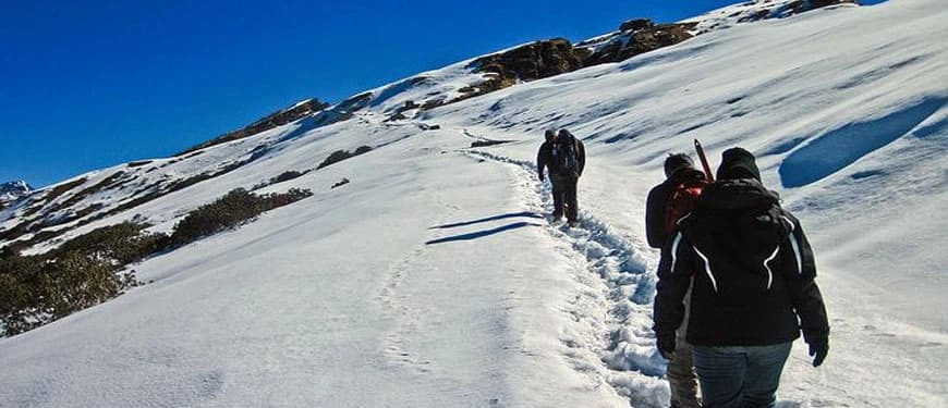 Dodital Trek 3